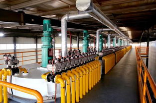 韋爾斯4.0智慧工廠震撼經(jīng)銷商，技術(shù)開發(fā)共創(chuàng)新篇章